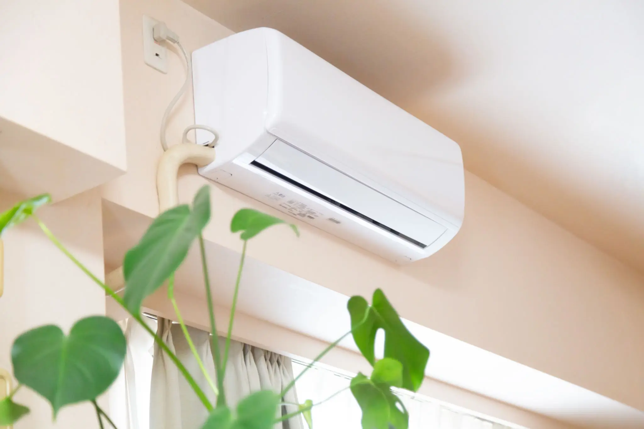 Wall-mounted air conditioner unit above a green plant indoors.